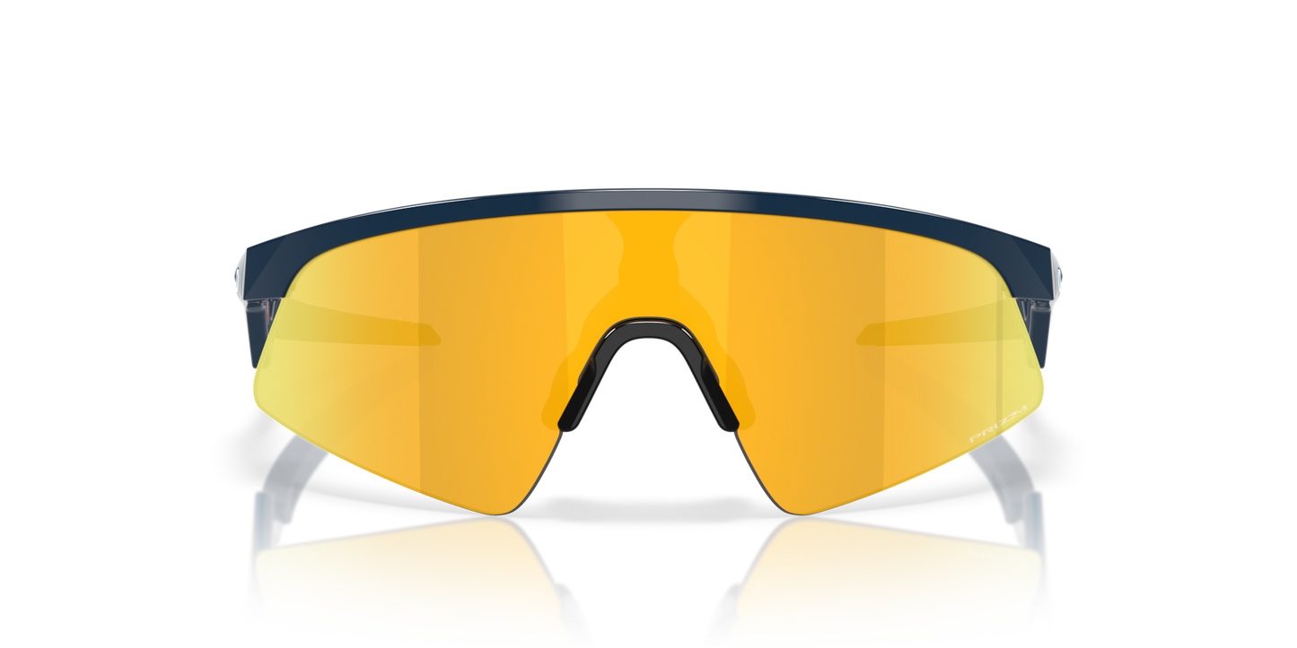 OAKLEY RESISTOR SWEEP