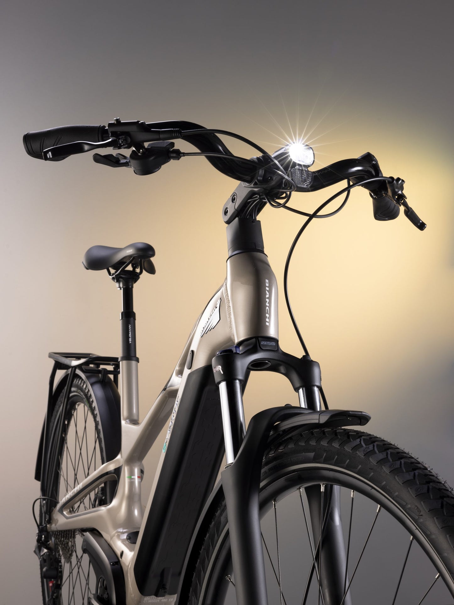 Bianchi e-Vertic T-Type