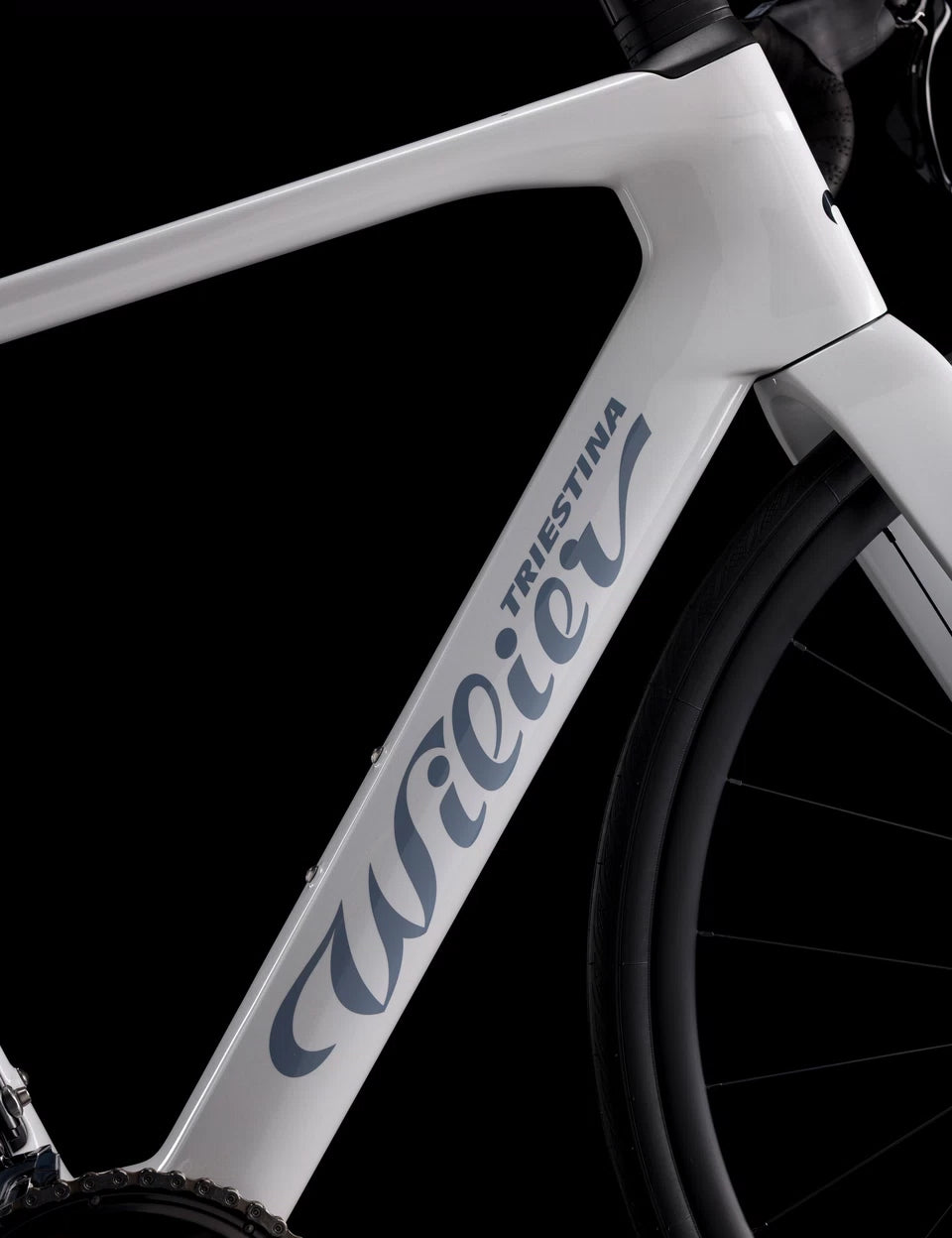 Wilier Rapida 105 Di2 Carbon Road Bike